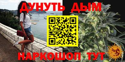 a pvp Бийск