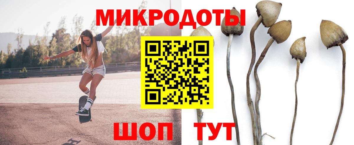 Псилоцибиновые грибы ЛСД  наркошоп  Городец  Вход с VPN 